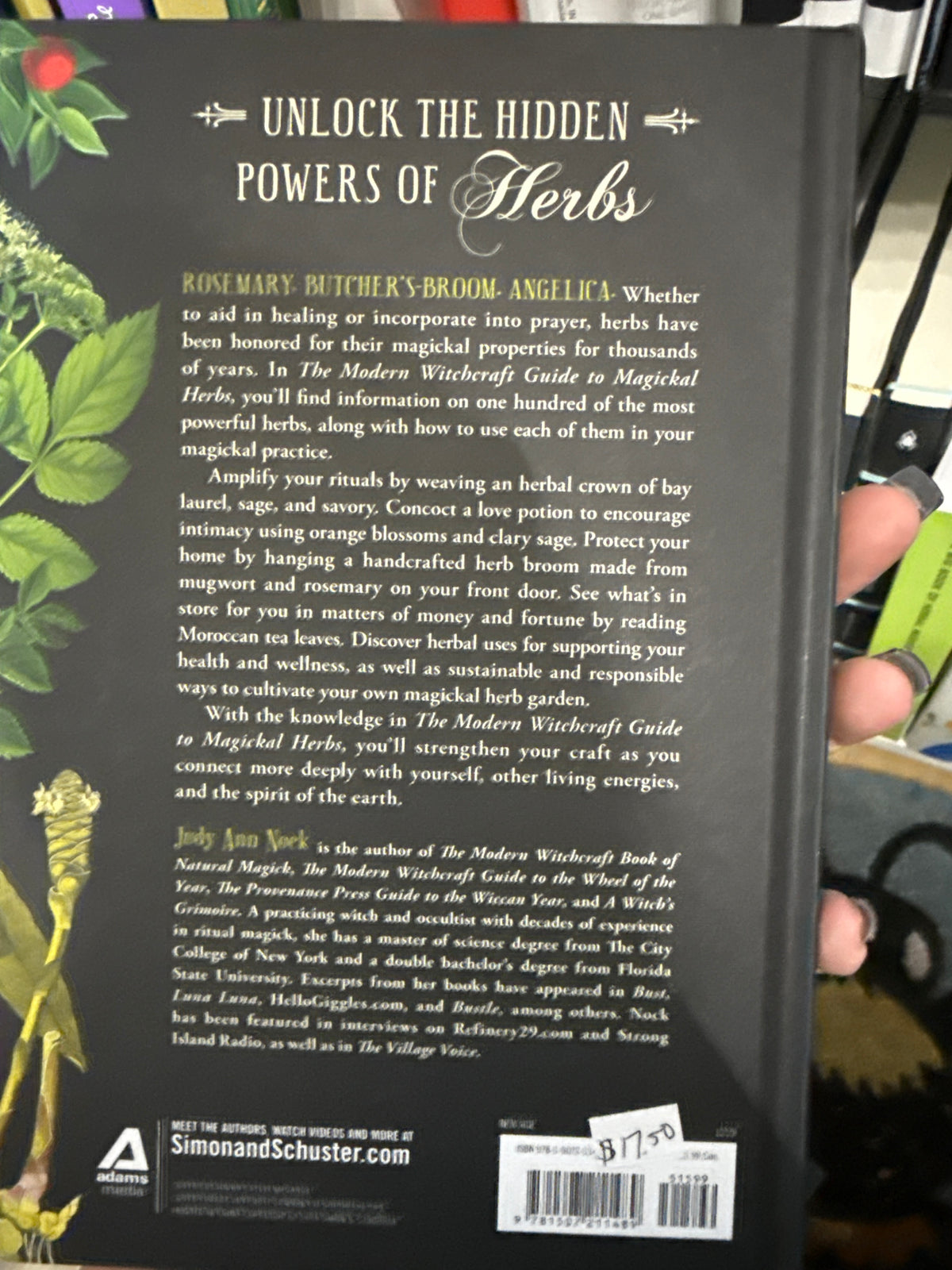 The Modern Witchcraft Guide To Magical Herbs
