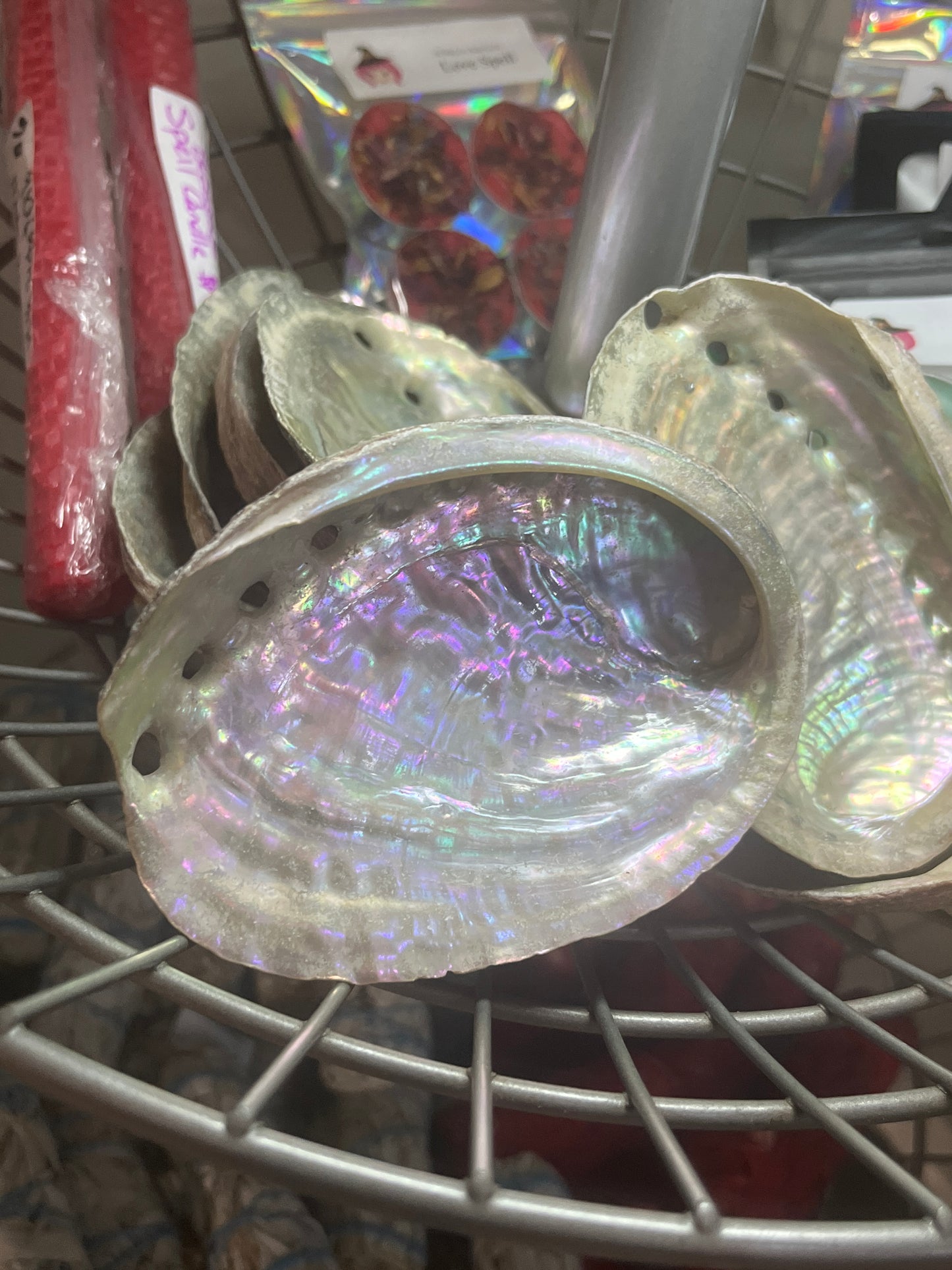 Abalone Shell