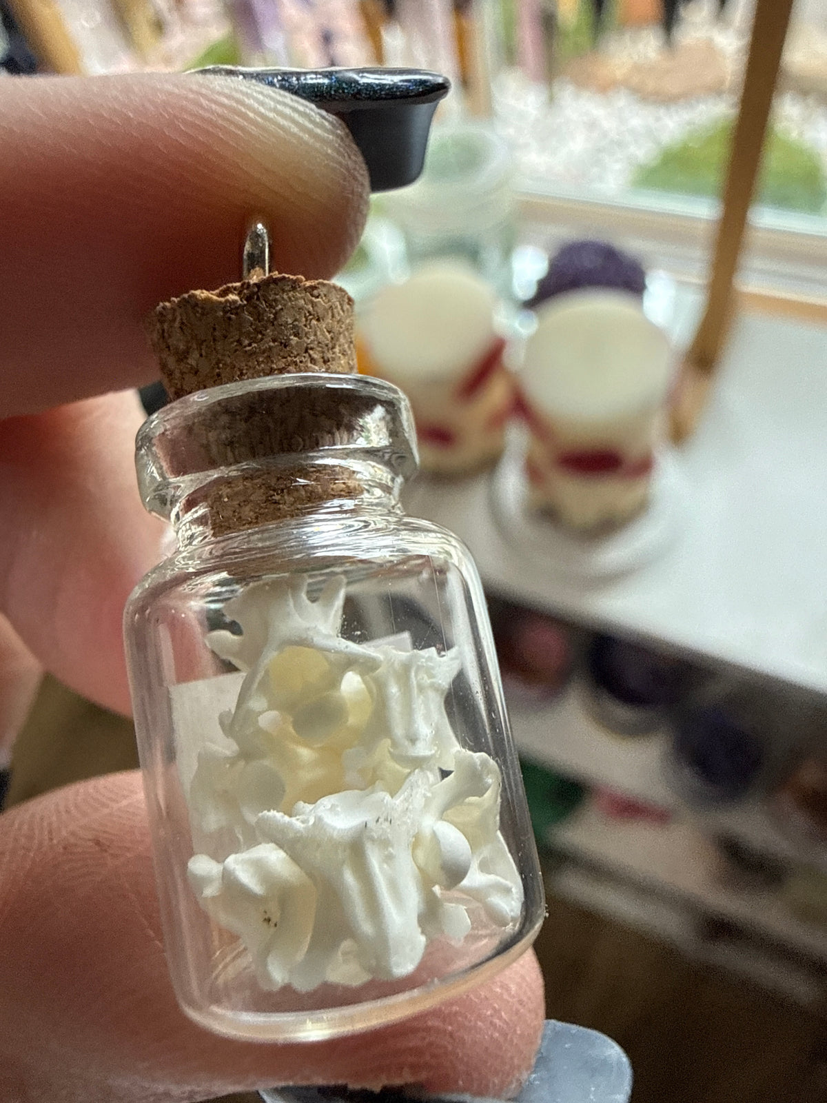 Snake vertebrae