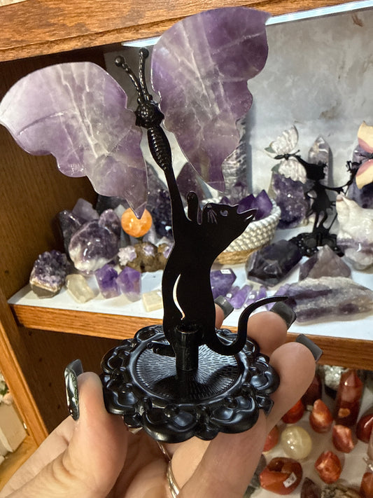 Cat chasing Amethyst butterfly