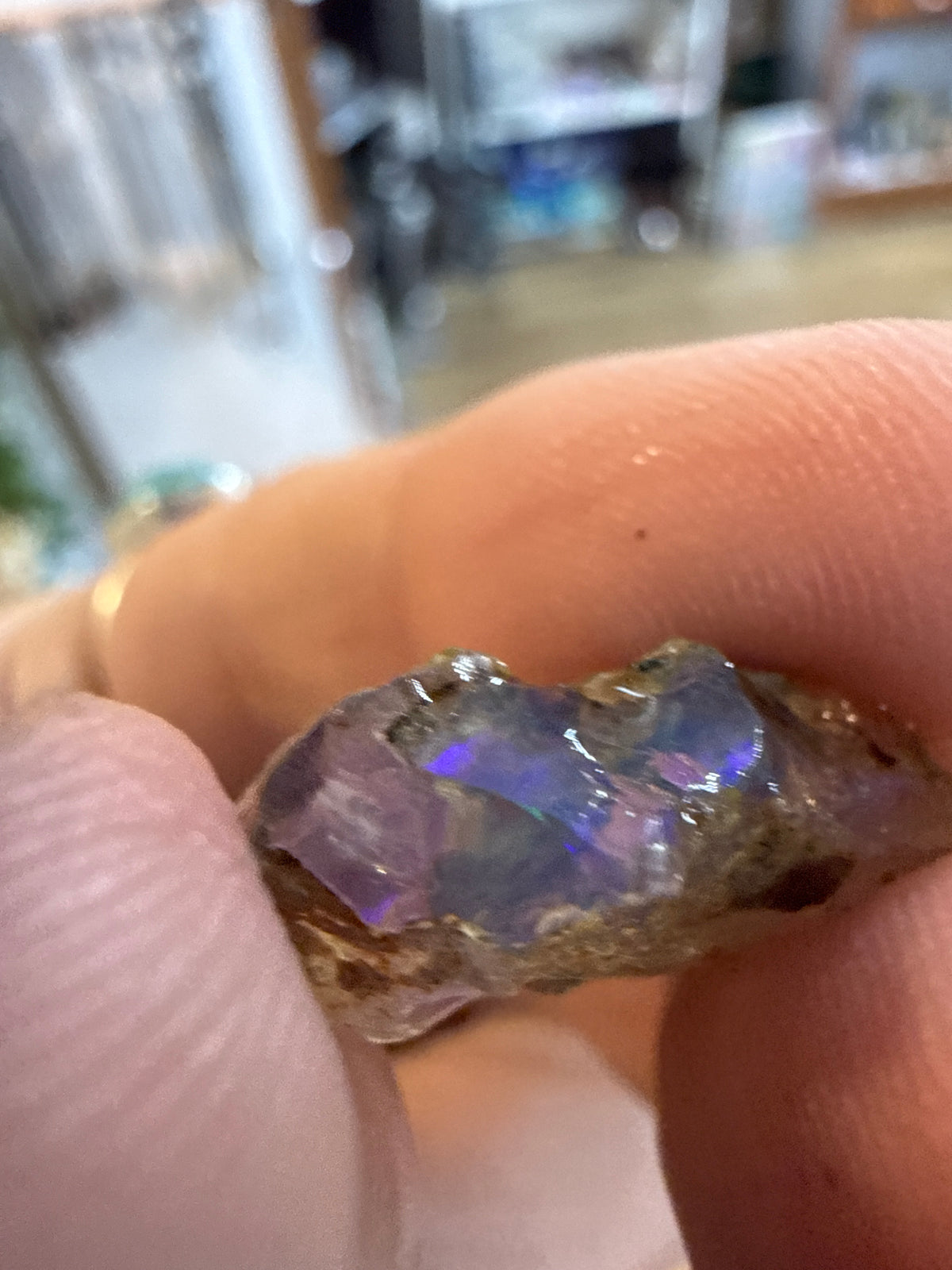 Opals Wet specimen