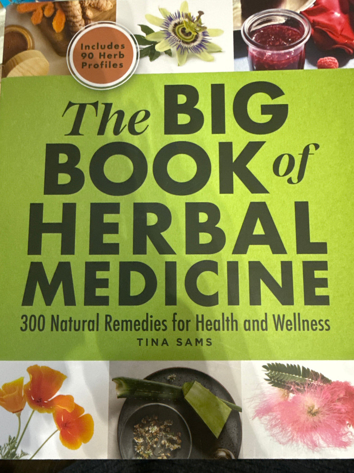 The Big Book of Herbal Medicine