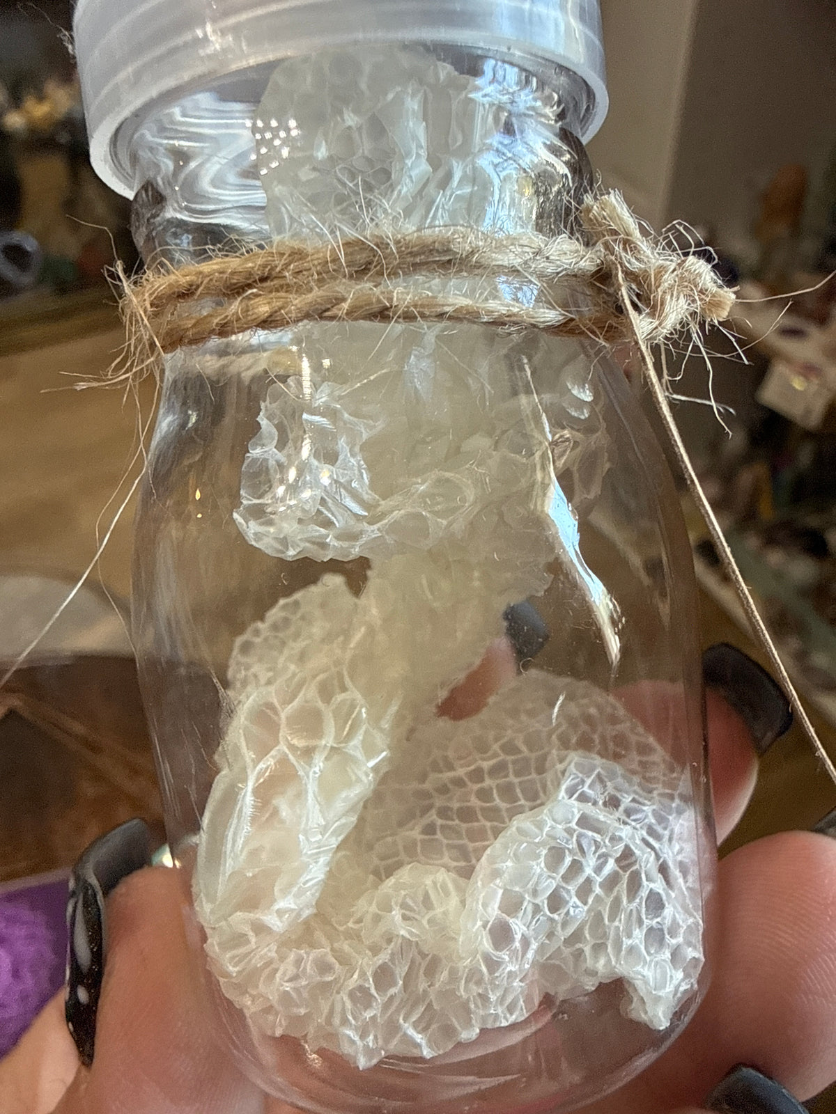 Albino Python snake skin