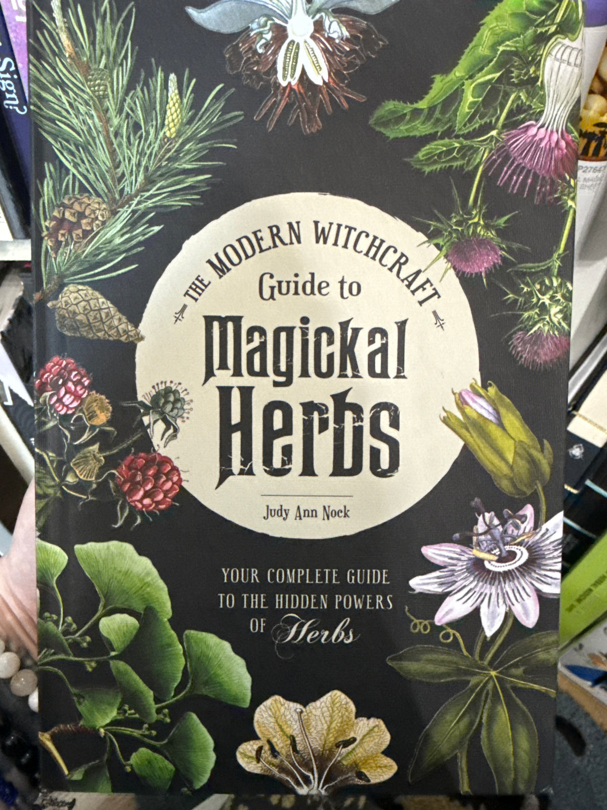The Modern Witchcraft Guide To Magical Herbs