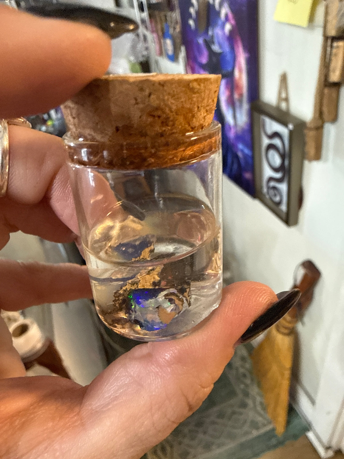 Opals wet specimens